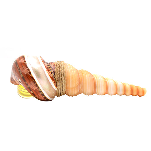 Handmade Seashell Spoon Pipe - Natural & Unique Smoking Accessory for Beach Lovers & Collectors | Perfect for Outdoor Adventures, Camping & Relaxation by the Shore