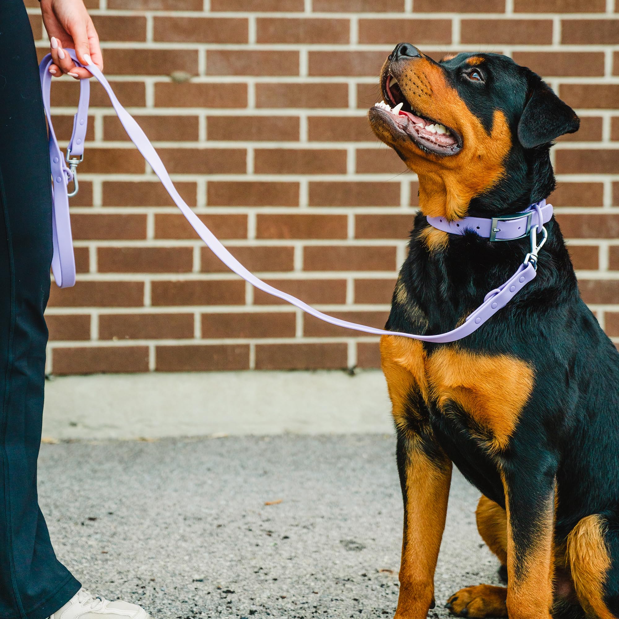 Waterproof PVC Rubber Dog Leash with Dual Clip - BearBone Double Ended Adjustable Leash for Small Dogs | Durable & Versatile for Walking, Training & Outdoor Adventures (Lilac)