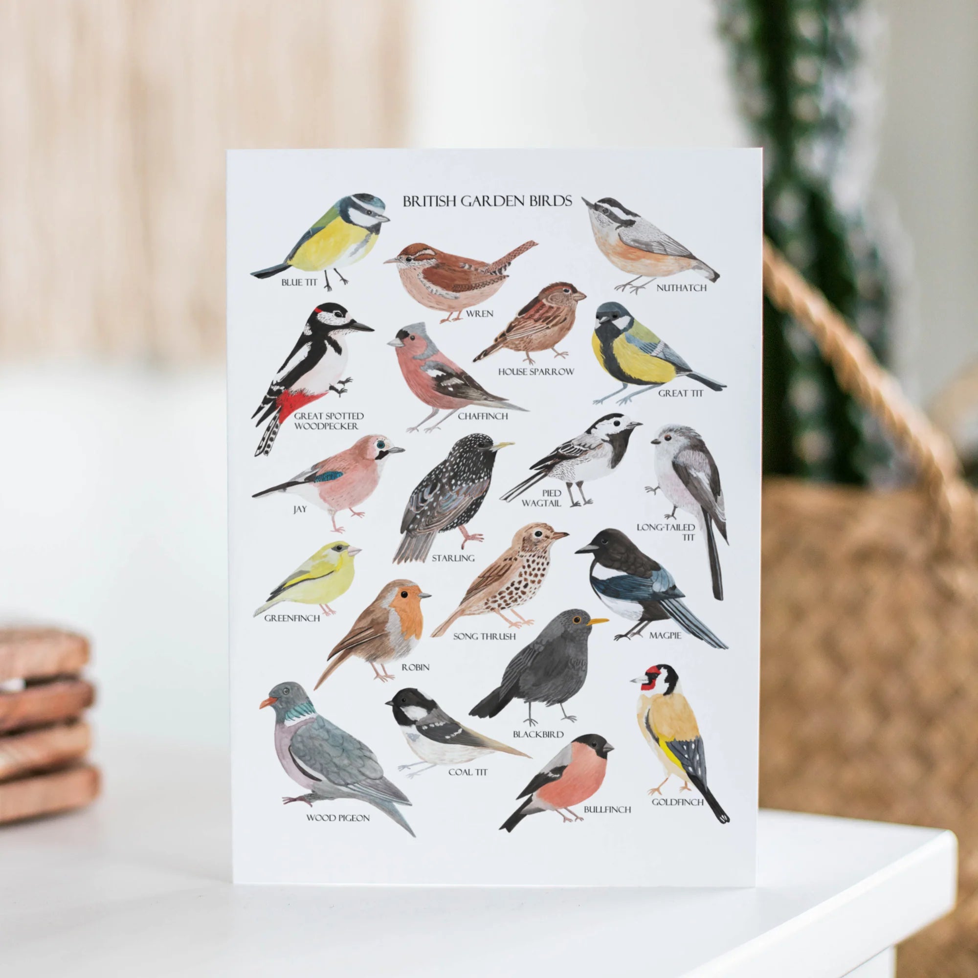 British Garden Birds Greetings Card | Handmade Bird-Themed Stationery | Perfect for Birthdays, Anniversaries & Special Occasions