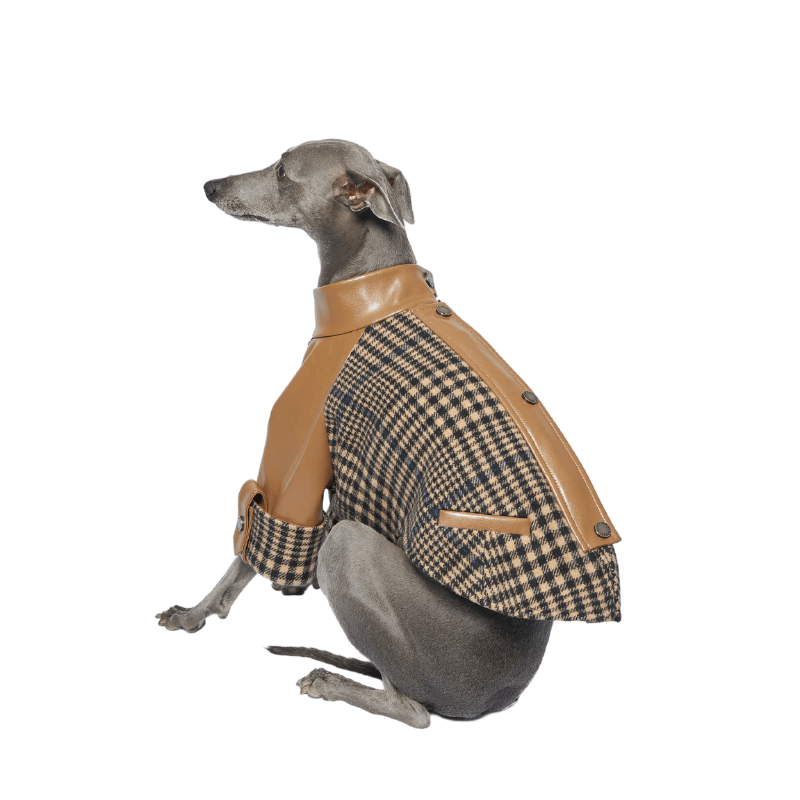 Stylish Ashwood Checked Jacket for Men & Women - Classic Plaid Coat with Premium Cotton Blend - Perfect for Fall Fashion, Outdoor Adventures & Casual Office Wear