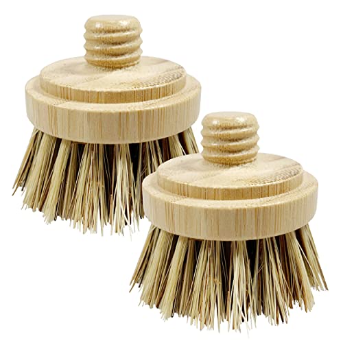 Coconut Brush Head X2