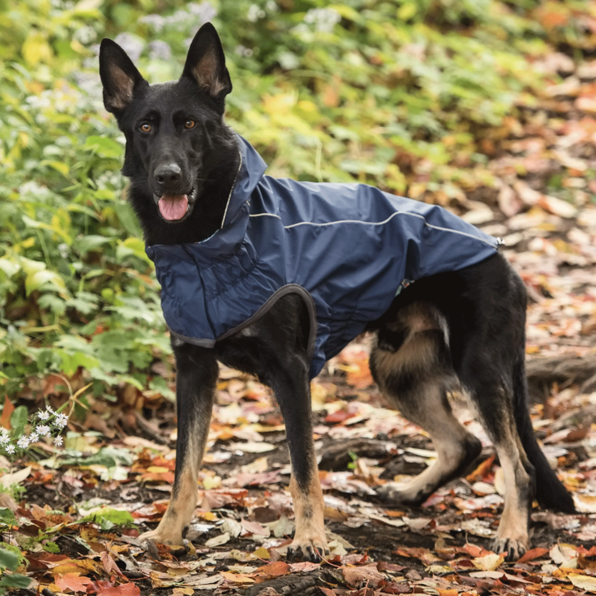 Waterproof Reversible Dog Raincoat - Navy Blue & Black - Lightweight Reflective Pet Rain Jacket for Small to Medium Dogs - Perfect for Walking, Hiking & Outdoor Adventures