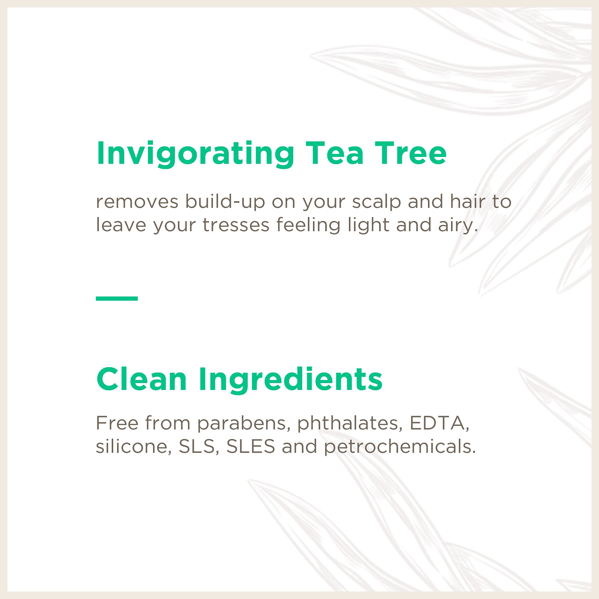 Tea Tree Travel-Size Shampoo for Dandruff & Scalp Care - 3.3oz (6 Pack) | Ideal for Travel, Gym & On-The-Go Hair Care