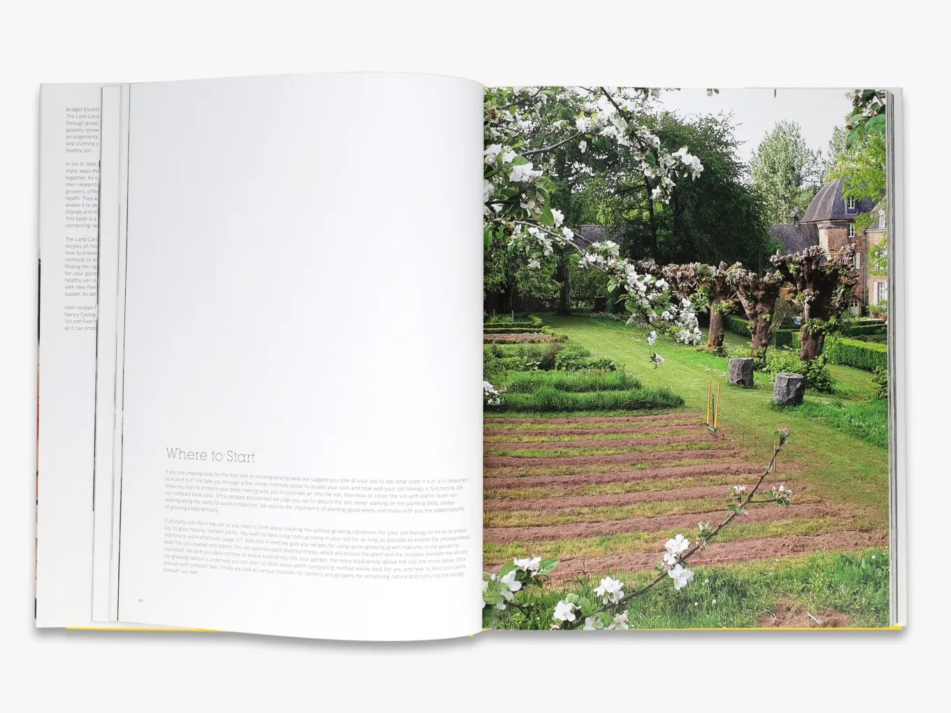 Organic Gardening Essentials | Soil to Table Guide by The Land Gardeners | Perfect for Homegrown Vegetables & Sustainable Farming