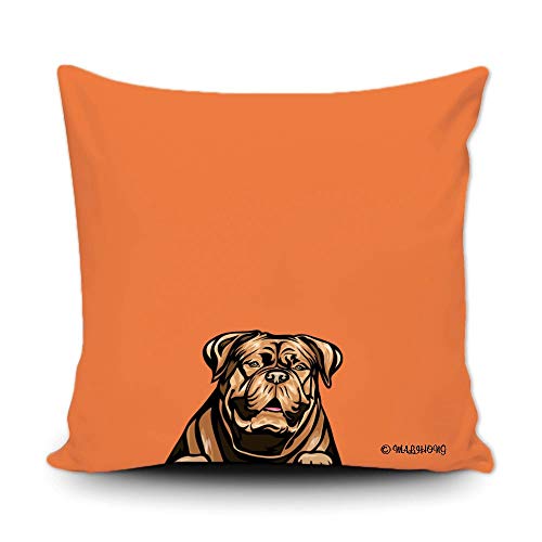 Dogue De Bordeauzx-2