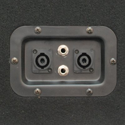 Seismic Audio FL-10MP 10