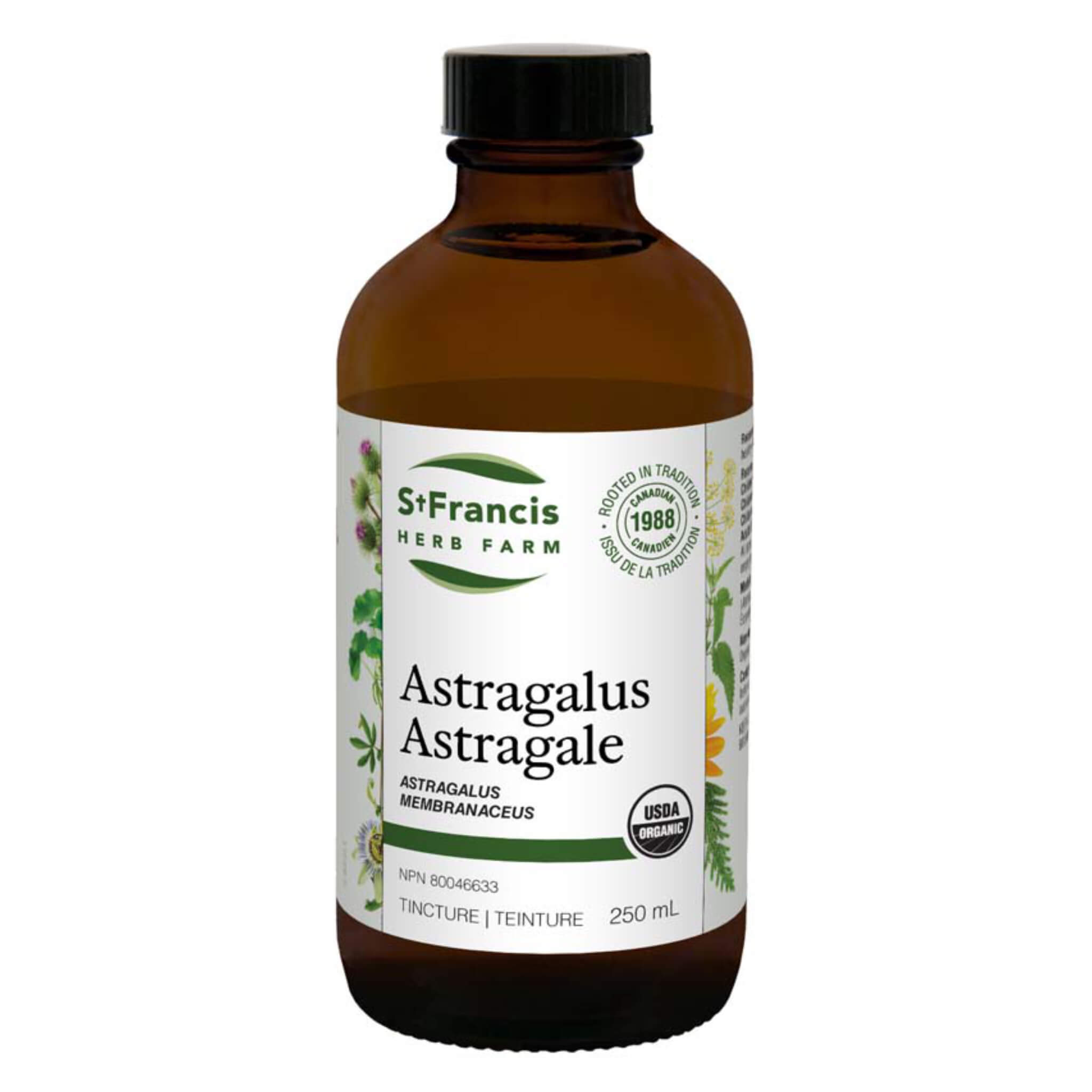 Organic Astragalus Root Powder (Astragalus membranaceus) - Immune Support Supplement for Energy & Wellness - Perfect for Tea, Smoothies & Daily Health Routine