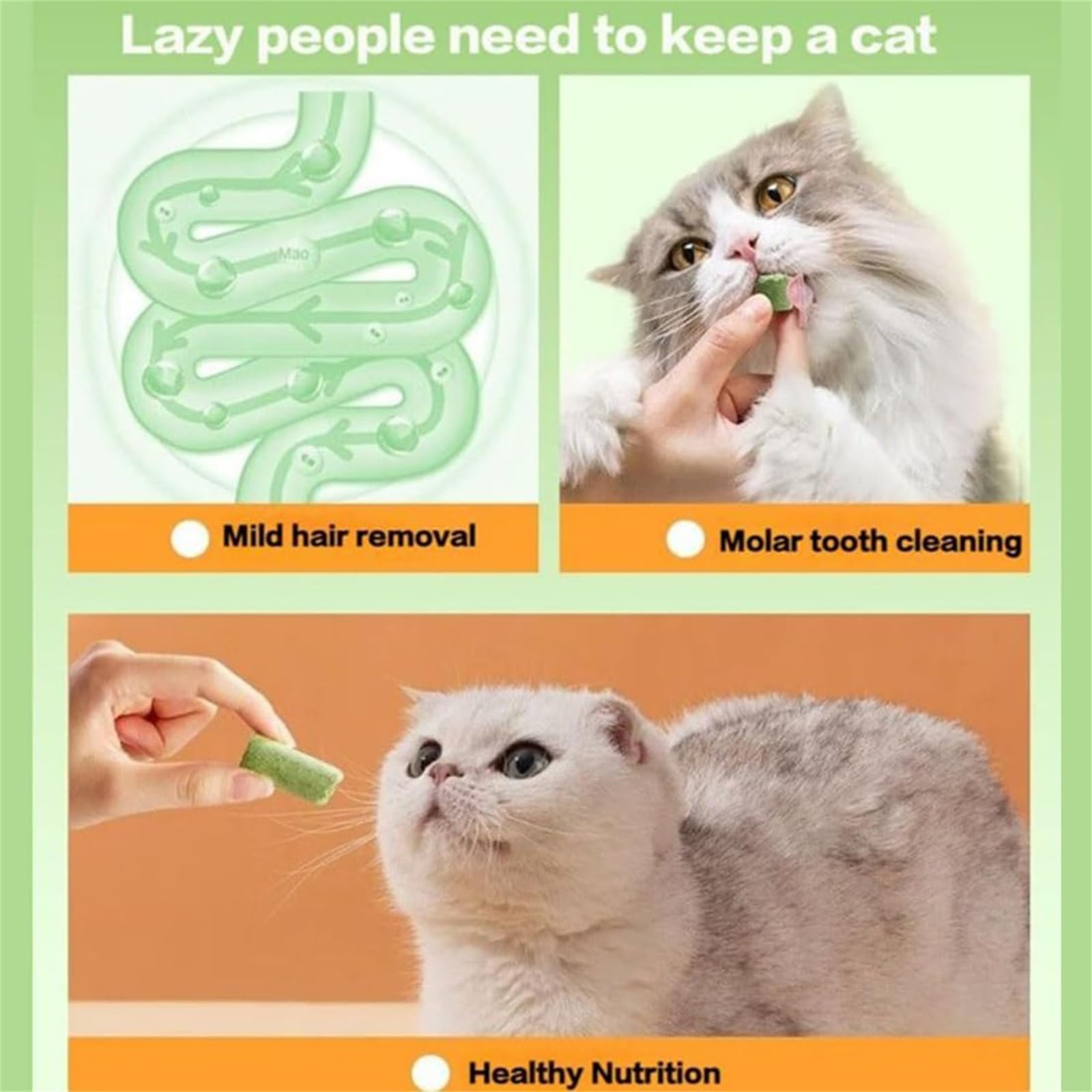 Natural Cat Grass Teething Stick for Dental Care & Hairball Removal - Healthy Chew Toy for Indoor Cats to Clean Teeth & Increase Appetite - Great for Kittens & Adult Cats (1 Pack)