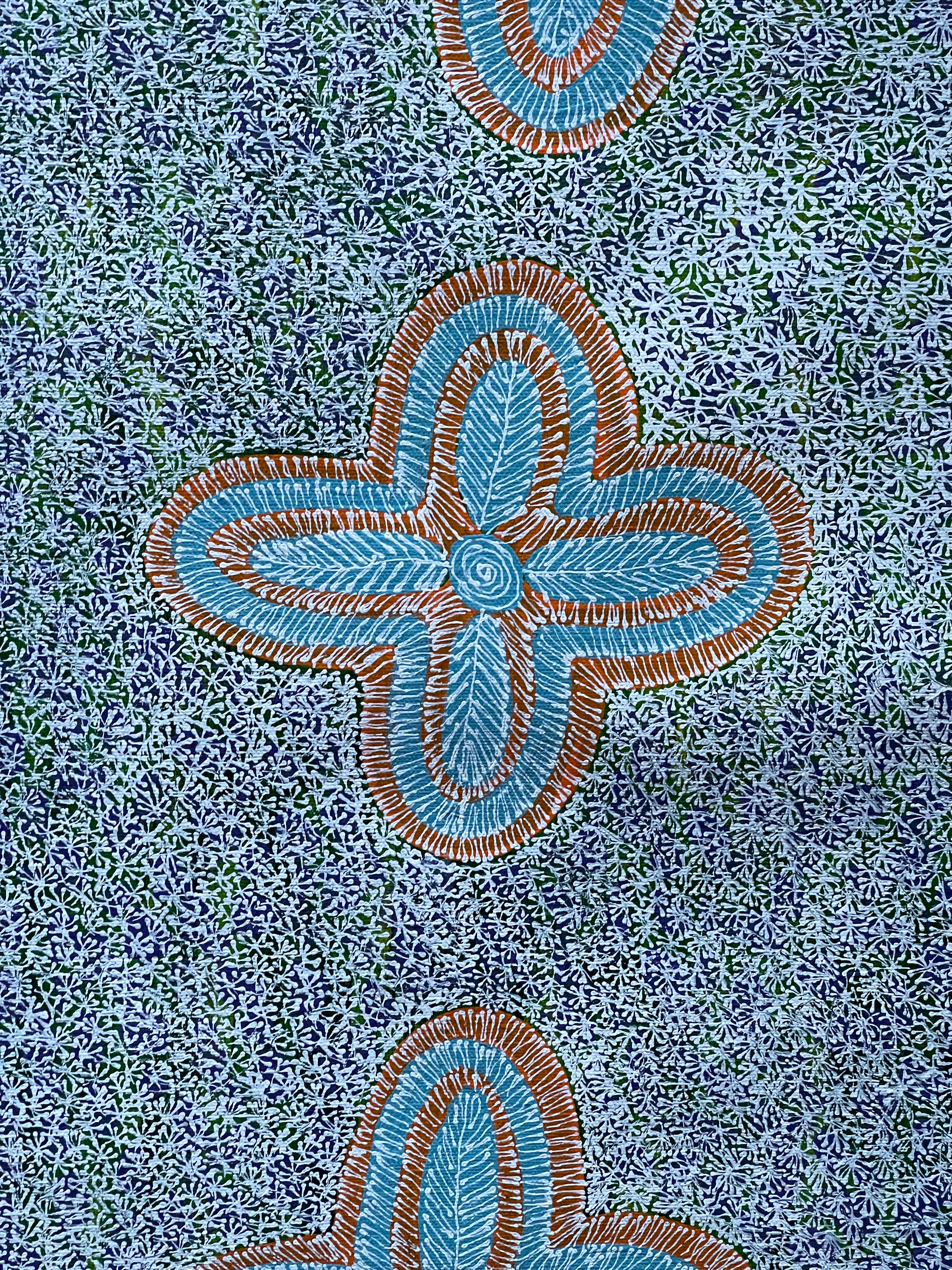 Authentic Aboriginal Art by Audrey Morton Kngwarreye - Handmade Indigenous Australian Paintings for Home Decor & Office Wall Art