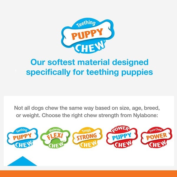Nylabone Puppy Teething Pacifier - Soothing Chew Toy for Puppy Teething Relief - Perfect for Small to Medium Dogs at Home or Travel
