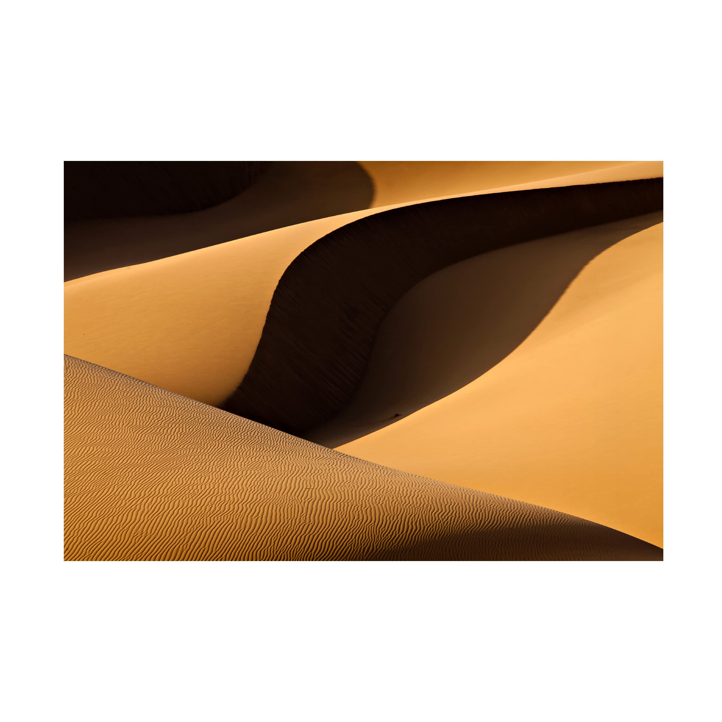 Trademark Fine Art 'Light Or Shadow' Canvas Wall Art by Mohammadreza Momeni - Modern Abstract Painting for Living Room, Bedroom & Office Decor