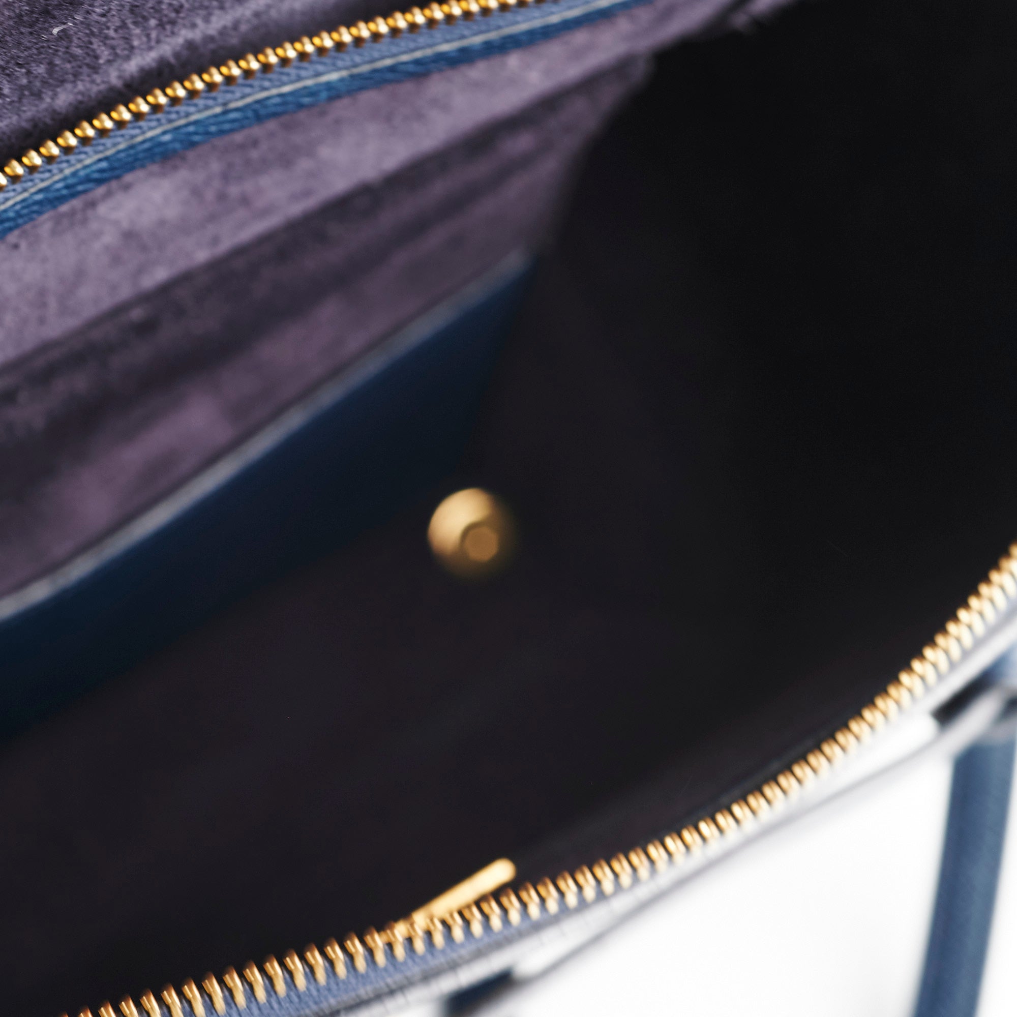 Celine Mini Blue Belt Bag for Women | Crossbody Shoulder Bag | Fashion Luxury Handbag for Daily Use, Travel & Evening Out