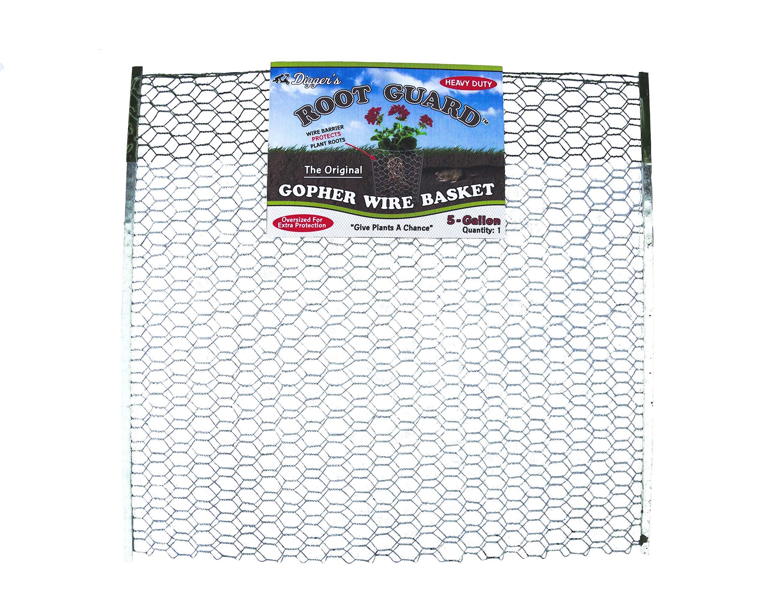 Digger’s 5-Gallon Heavy-Duty Wire Basket - Gopher Wire Baskets for Shrubs, Vines & Bushes (12 Pack) - Perfect for Garden Protection & Plant Root Barriers
