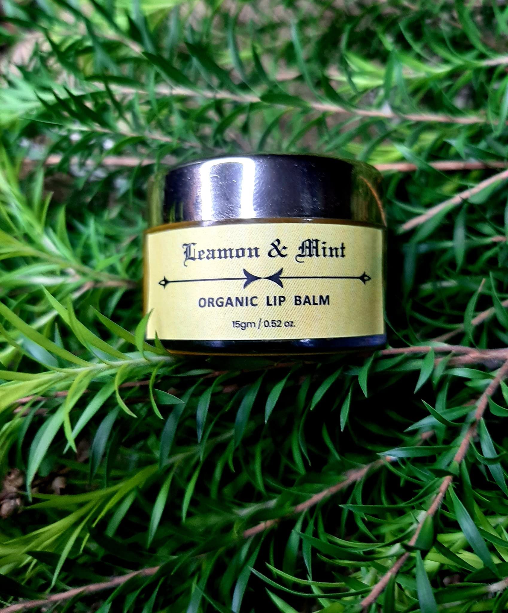 Organic Lemon & Mint Lip Balm - Soothing & Moisturizing for Dry, Chapped Lips - Perfect for Outdoor Activities, Travel & Daily Hydration