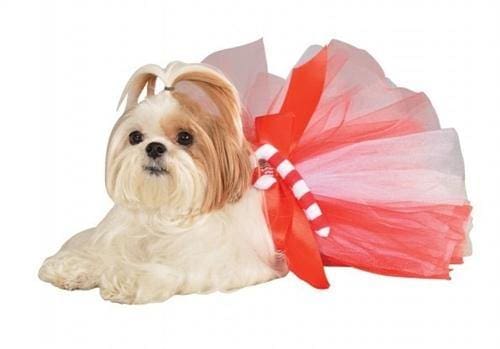 Festive Candy Cane Striped Dog Tutu Skirt - Christmas Pet Costume for Small & Medium Dogs - Perfect for Holiday Photos & Parties