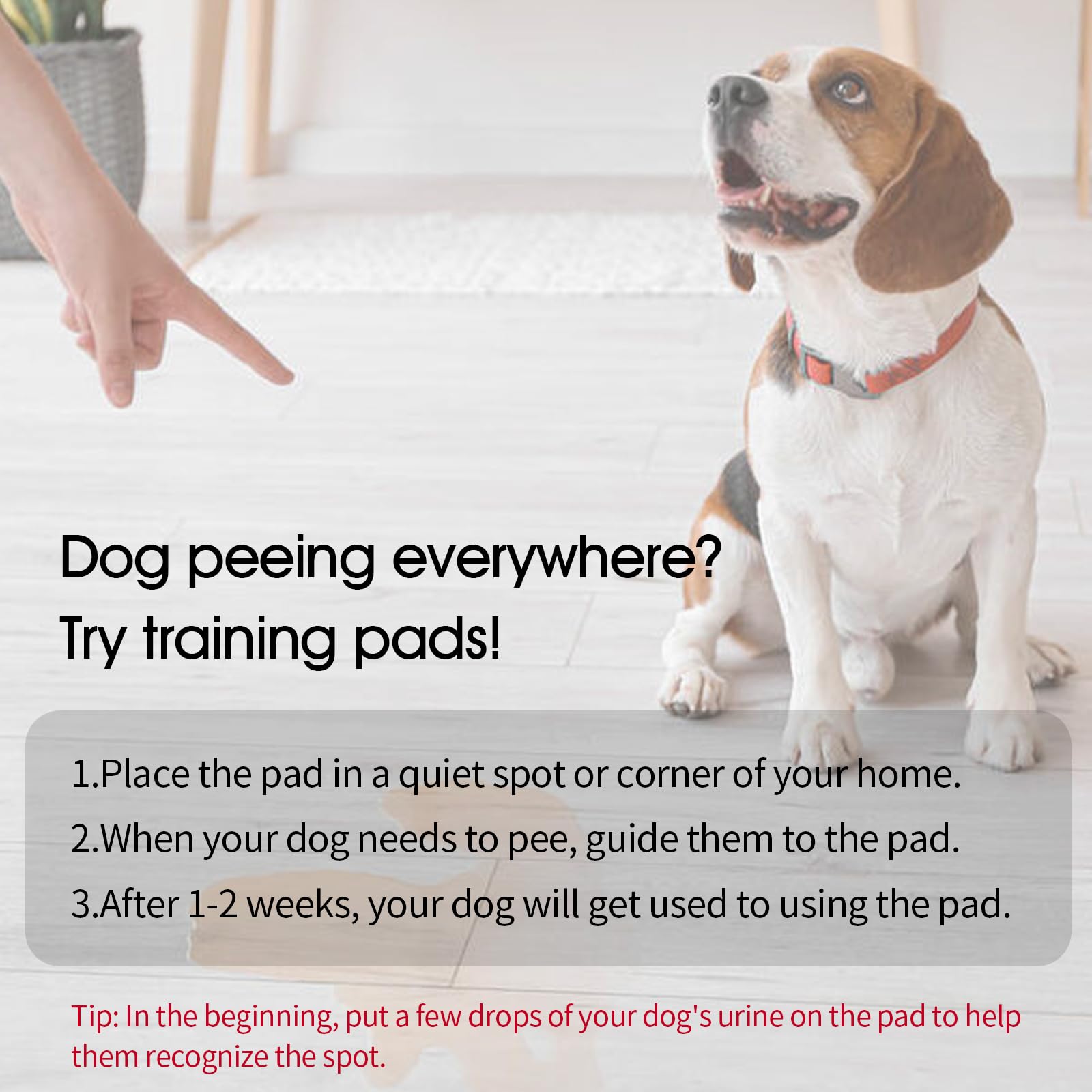 IDOMIK Reusable Washable Dog Training Pads - Non-Slip Silicone Mat with Leak-Proof Tray for Puppy Potty Training | Indoor Kennel & Crate Protection | Perfect for Housebreaking, Floor Safety & Pet Hygiene