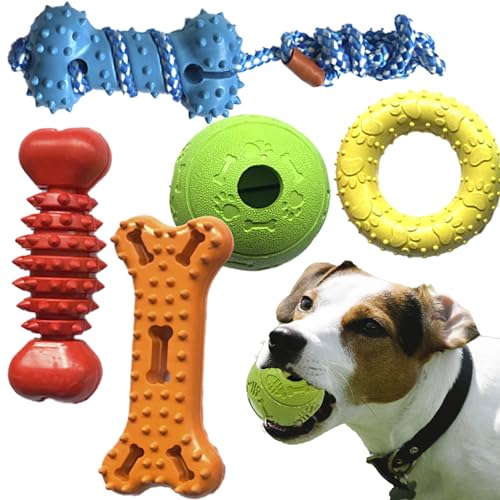 5 Pack Rubber Premium