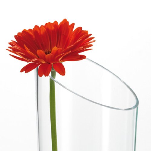 012305 Clear Glass Vase - 15.7 Inches (40 cm) Tall Flower Base for Home Decor, Wedding Centerpieces & Office Arrangements