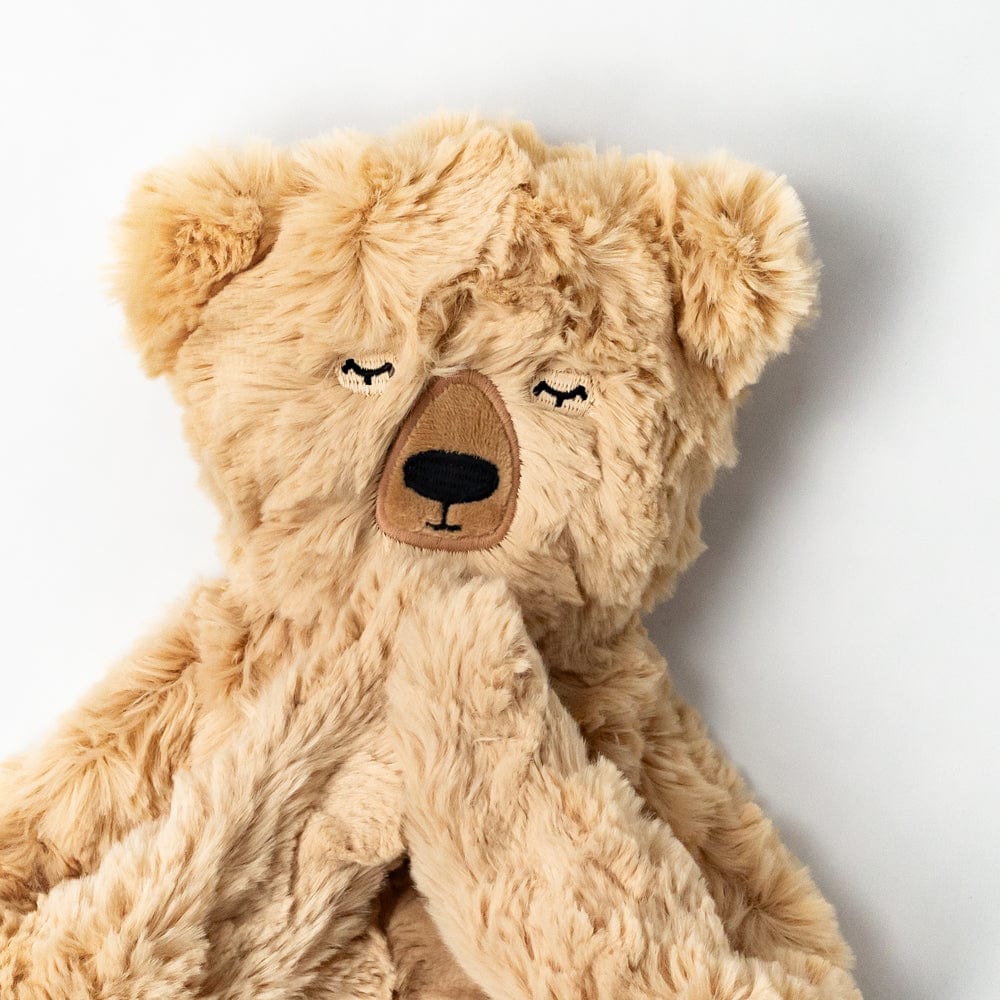 Cozy Honey Bear Plush Blanket - Ultra Soft Cuddle Blanket for Kids & Adults - Perfect for Bedtime, Lounging, and Gifts