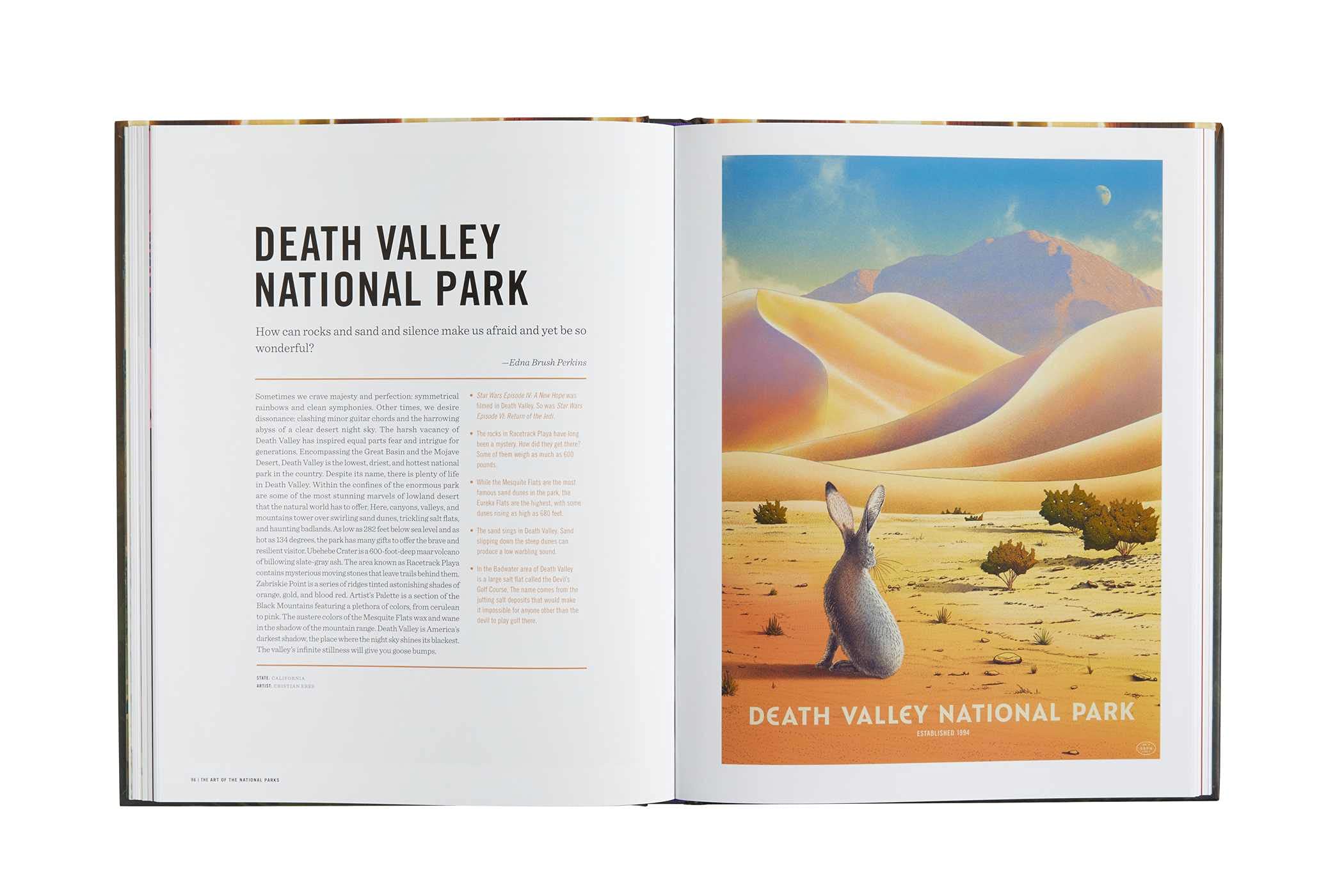 National Parks Art Book - Nature Lovers Gift for Home & Office Decor