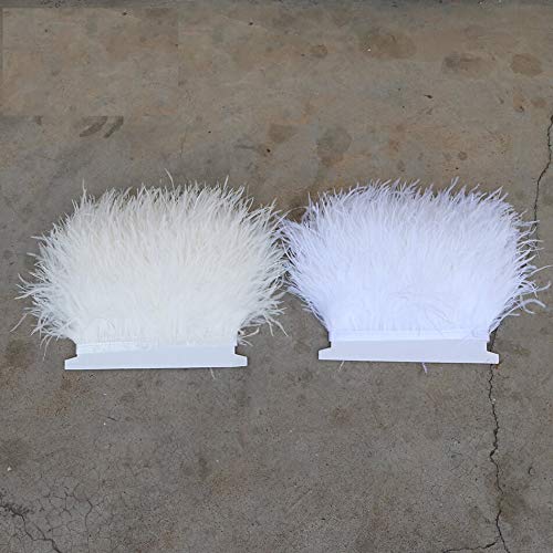 Ivory White