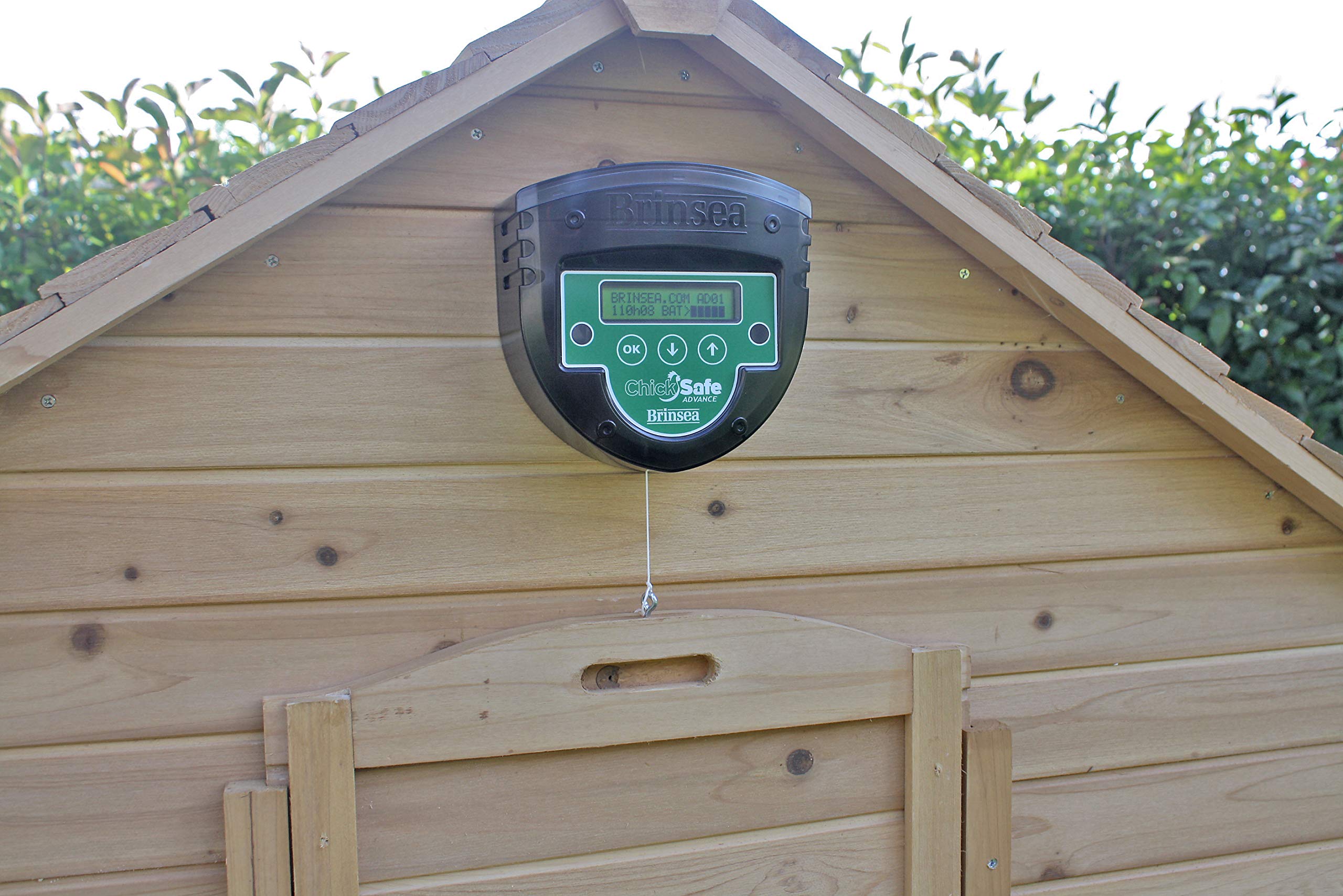 Brinsea ChickSafe Advance Automatic Chicken Coop Door Opener - Programmable Timer & Digital Display for Vertical Sliding/Hinged Hen House Doors (8 lb Lift Capacity) - Perfect for Poultry Farms, Backyard Chicken Coops & Secure Nighttime Protection