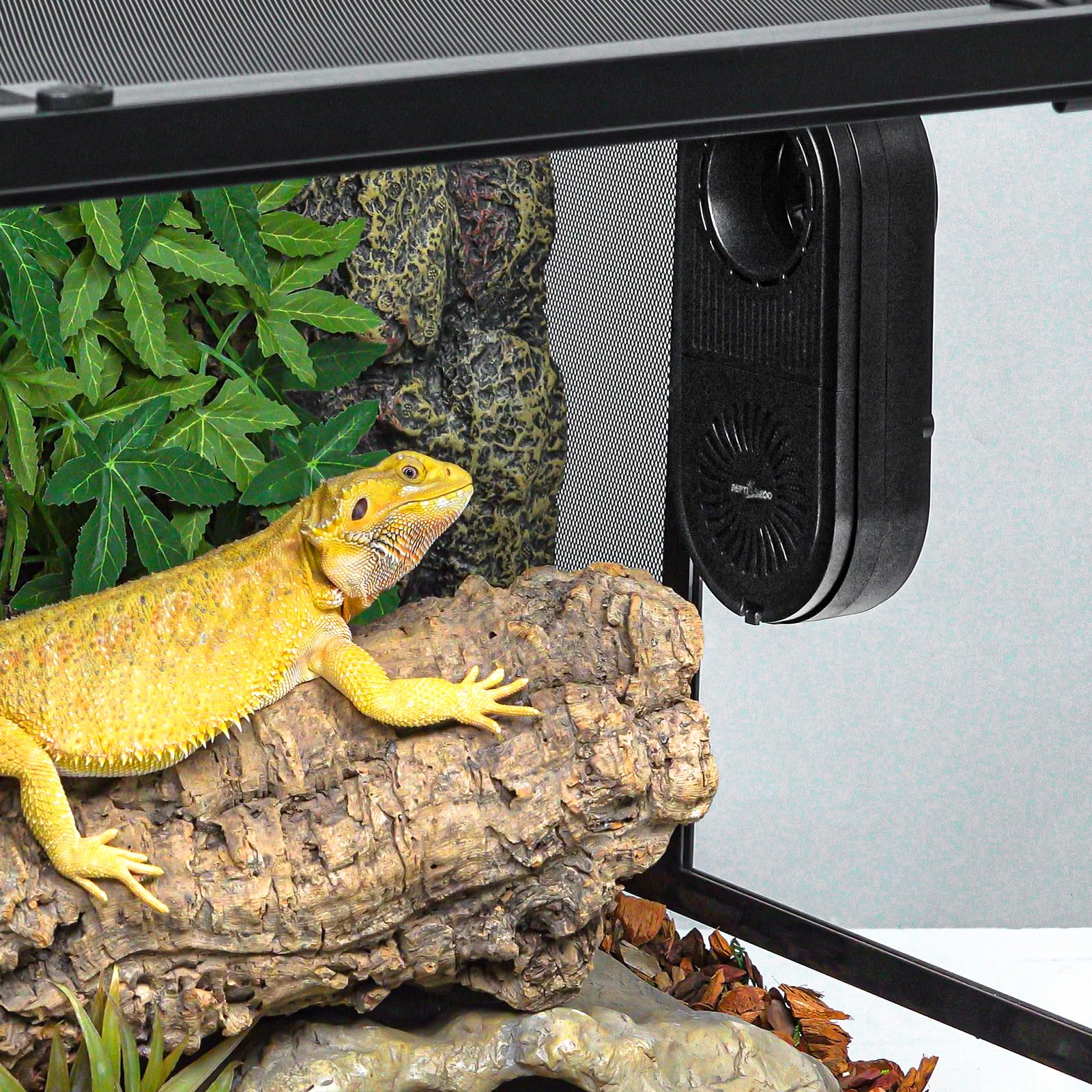 REPTI ZOO Reptile Glass Terrarium Air Purifier with Carbon Filter - Dehumidifier & Air Cleaner for Bearded Dragons, Lizards, Turtles, Snakes - Perfect for Reptile Habitats & Terrarium Maintenance
