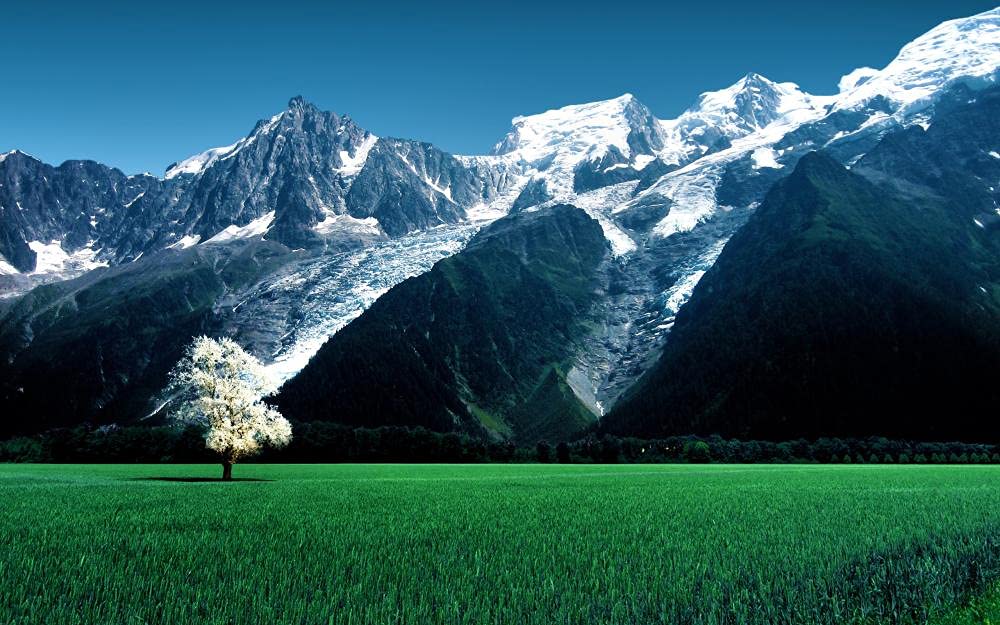 Posson Glacier 1000 Piece Wooden Jigsaw Puzzle for Adults & Teens - Classic Challenging DIY Educational Puzzle Toy Gift (75x50cm) - Perfect for Family Game Night, Brain Training & Home Decor