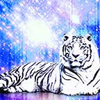 Galaxy White Tiger