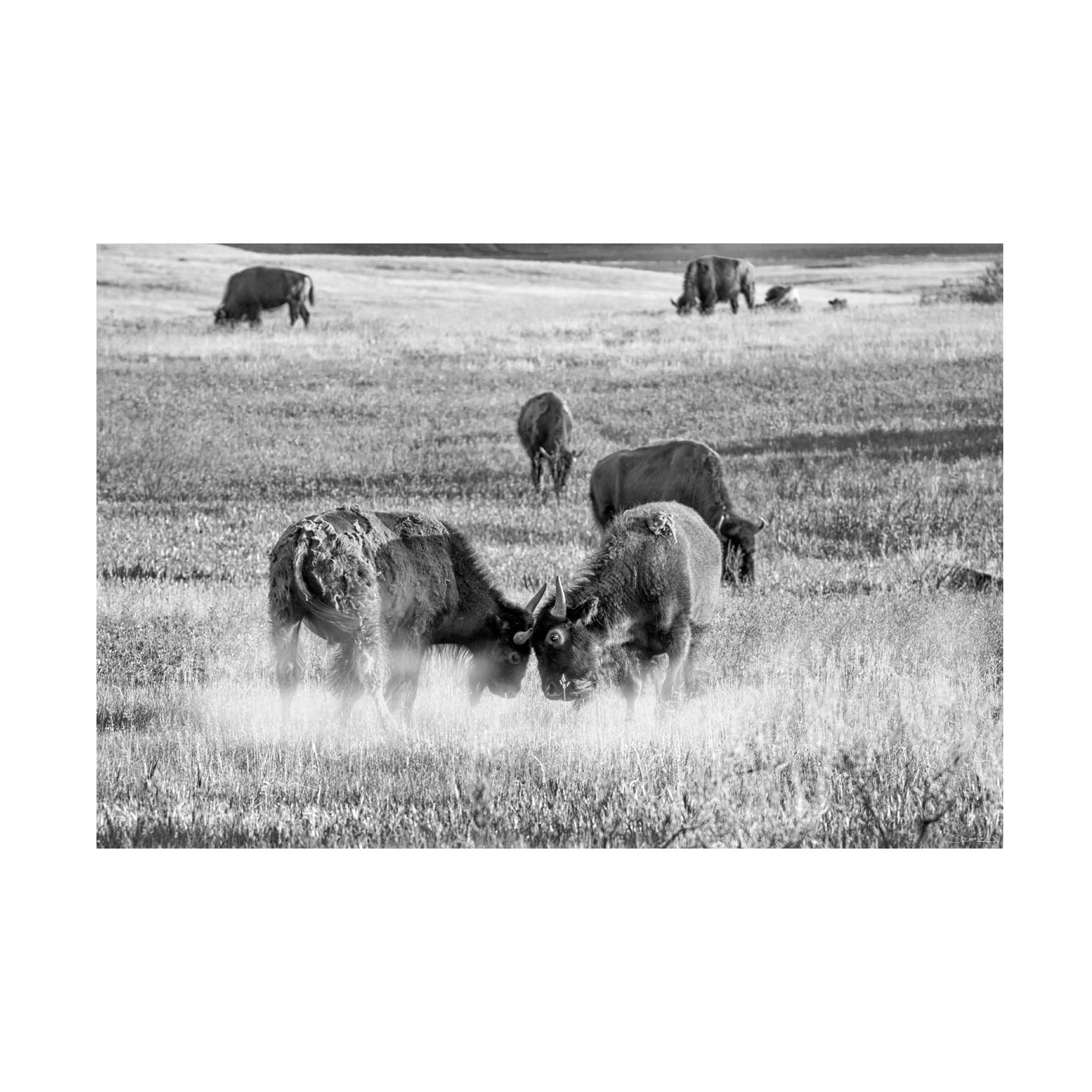 Gordon Semmens 'Enter the Badlands BW 24' Black & White Canvas Art Print - 16x24 Inches - Modern Wall Decor for Living Room, Bedroom & Office - Trademark Fine Art Collection