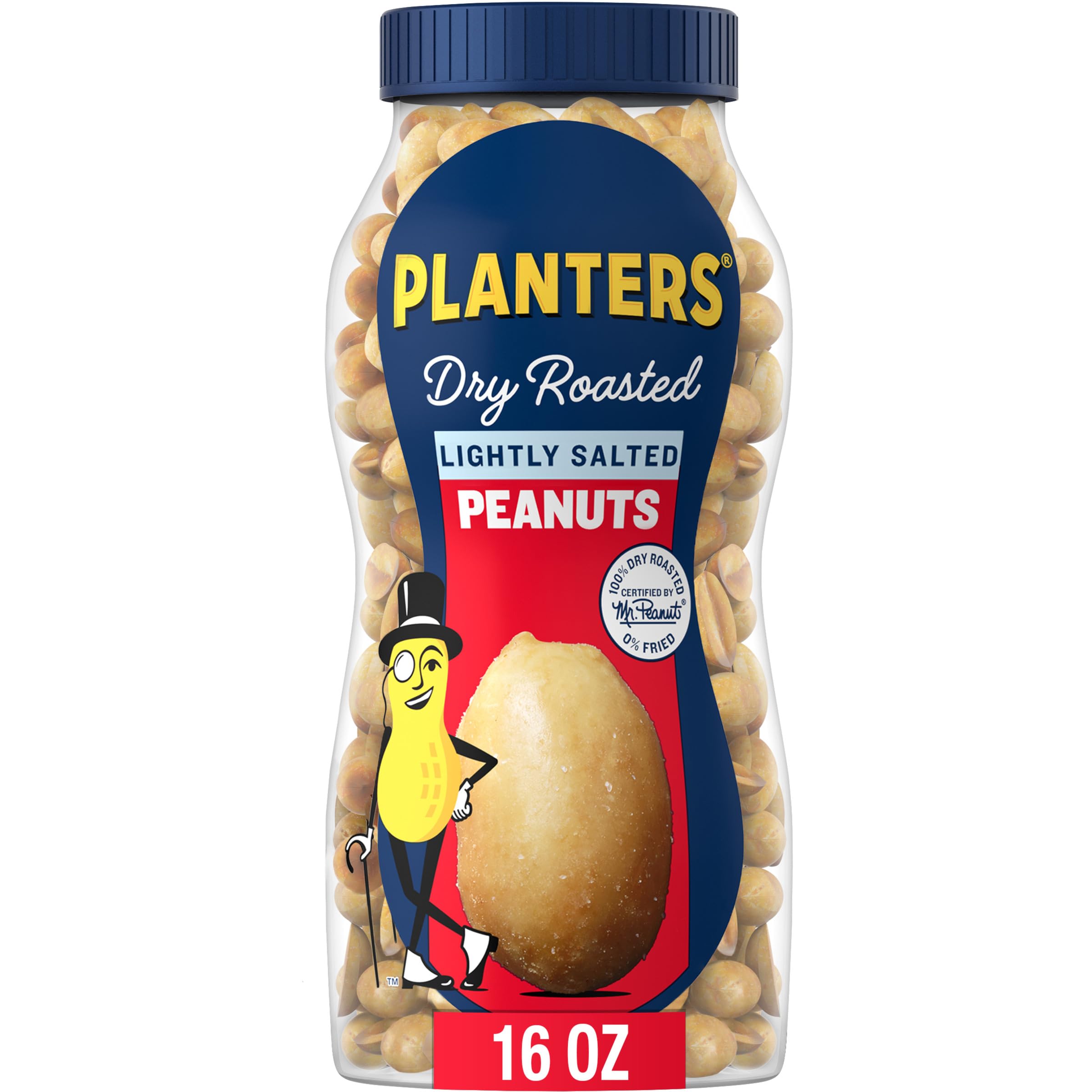Dry Roasted Peanuts Lightly Salted - Planters 16oz (Pack of 1) | Healthy Snack for Office, Travel & Movie Nights