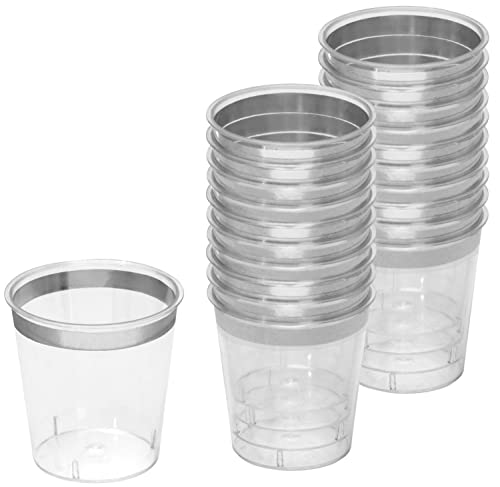 Silver Rim