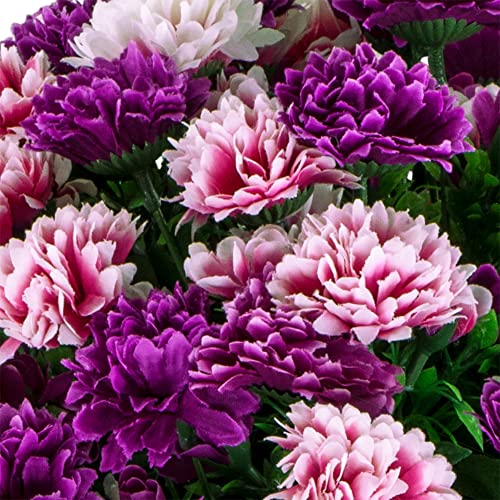 Pink Purple