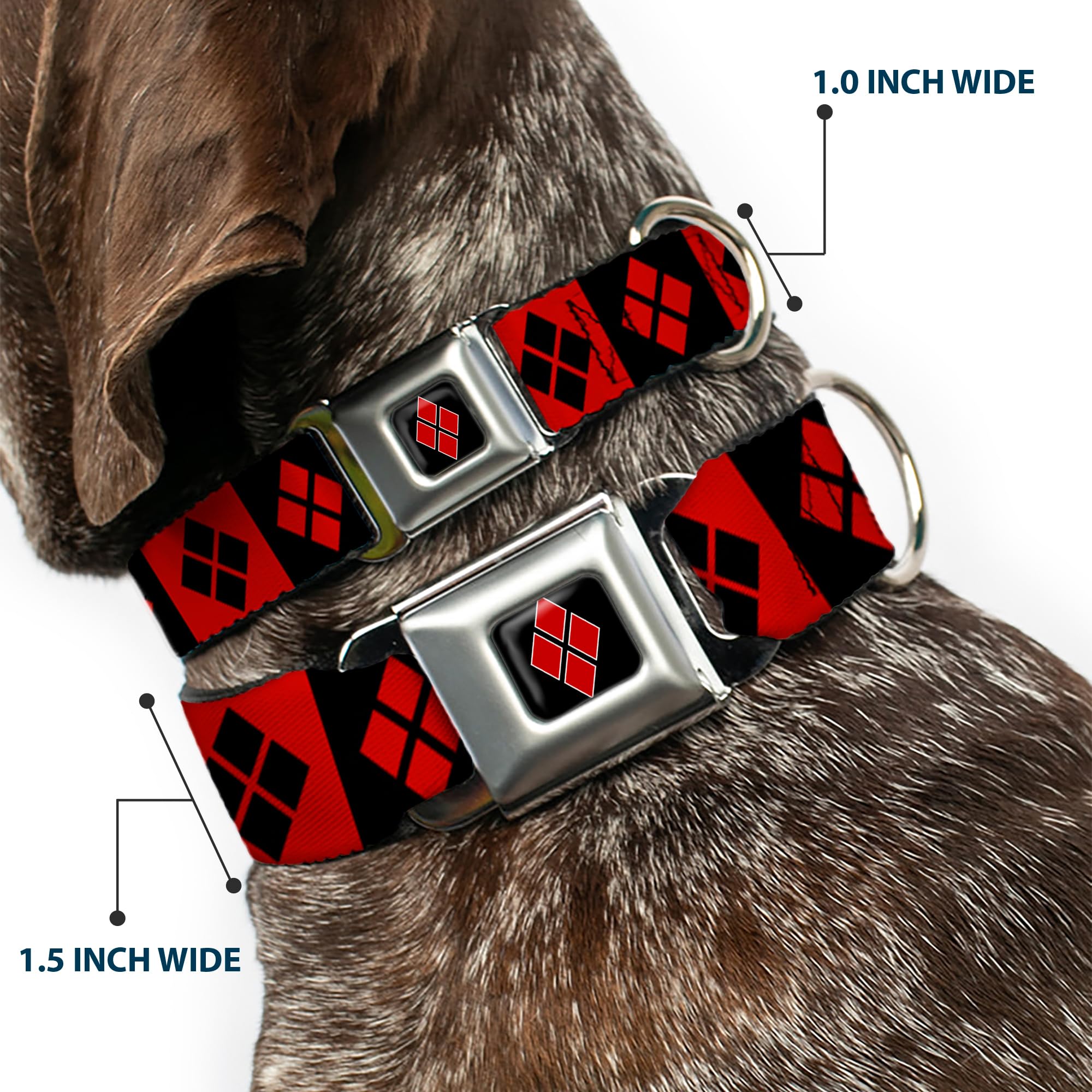 Buckle-Down Harley Quinn Diamond Blocks Dog Collar - 1.5