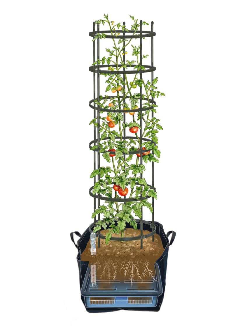 Titan Self-Watering Tomato Planter with Trellis - All-in-One Tomato Growing Kit | Includes Grow Bag, Trellis & Watering Inserts | Perfect for Patio, Balcony & Home Gardening | Large Capacity for Healthy Tomato Plants