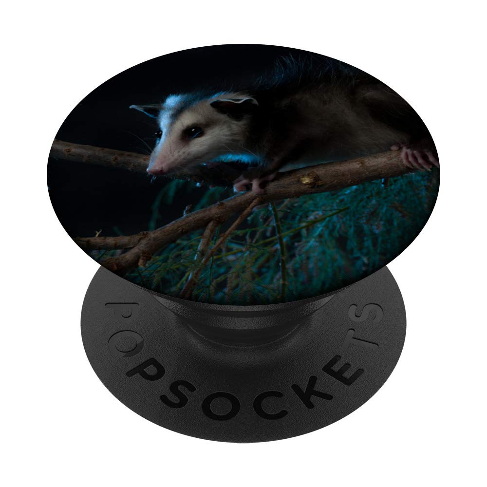 Opossum PopSockets PopGrip - Swappable Phone Grip for iPhone, Samsung & Tablets | Cute Animal Design for Secure Holding, Perfect for Selfies, Gaming & Everyday Use