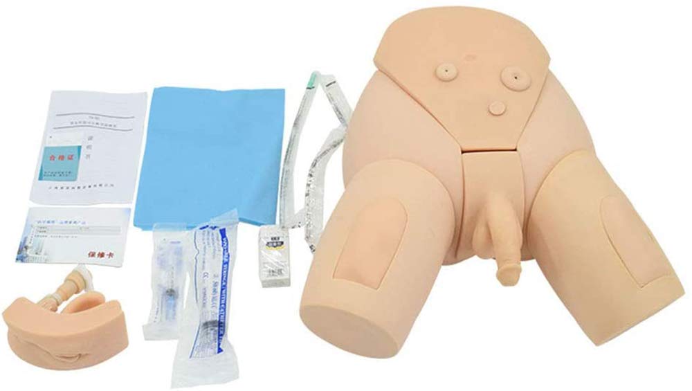 Male & Female Urinary Catheterization Training Manikin - Interchangeable Nursing Practice Simulator for Medical Students & Professionals | Perfect for Clinical Skills Labs & Healthcare Education