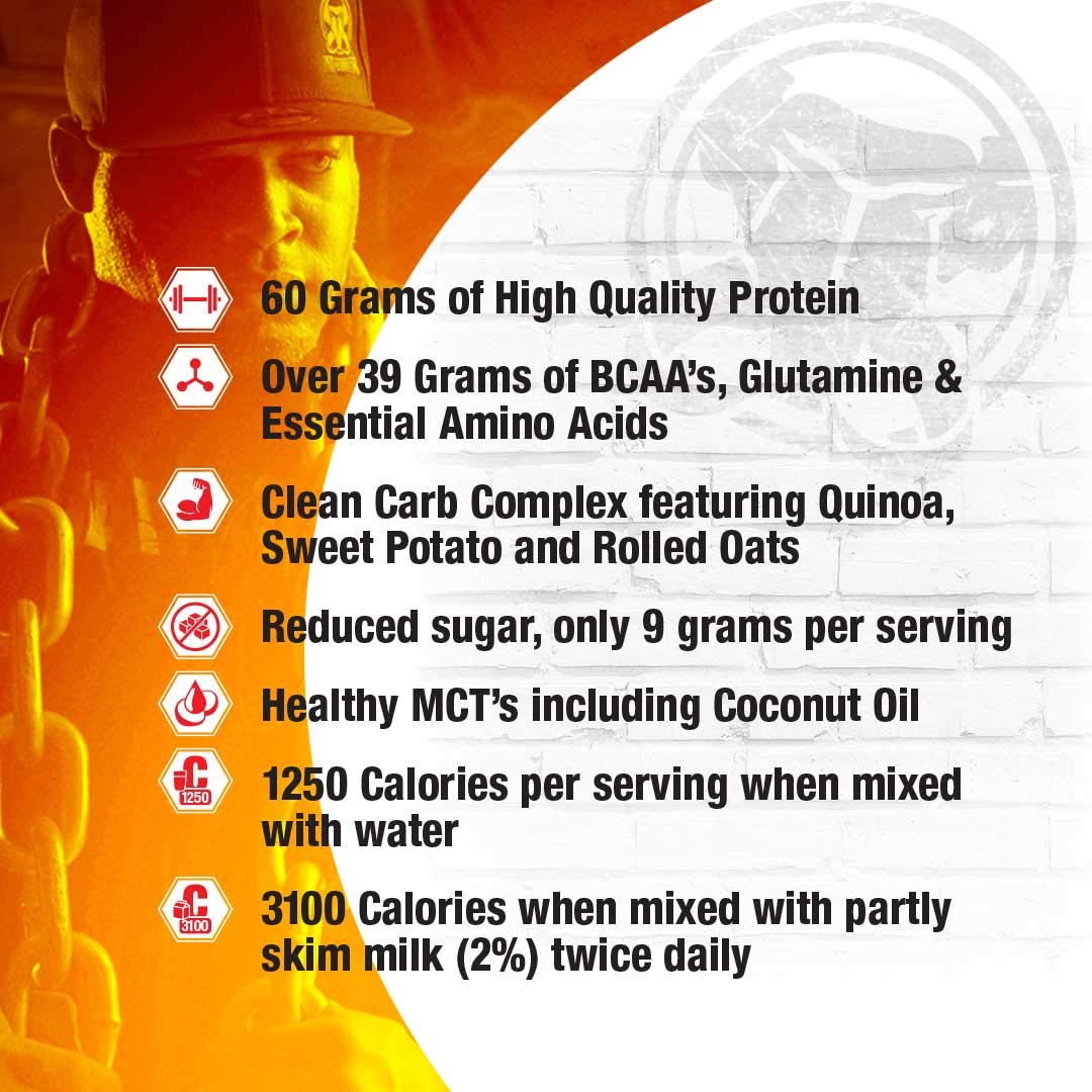 Mammoth Mass Weight Gainer Protein Powder - High Calorie Muscle Building Shake with Whey Isolate & Casein Blend, Low Sugar Meal Replacement for Bodybuilding & Workout Recovery (Strawberry Flavor, 5lb) - Perfect for Post-Workout Smoothies, Muscle Growth Nutrition & Healthy Weight Gain