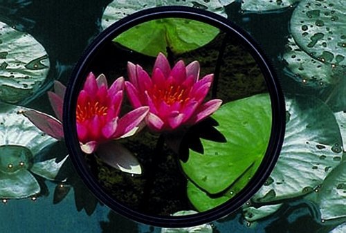 Heliopan Circular Polarizer Filter - High-Quality Camera Lens Filter for DSLR & Mirrorless Cameras - Reduce Glare & Enhance Colors for Landscape & Outdoor Photography