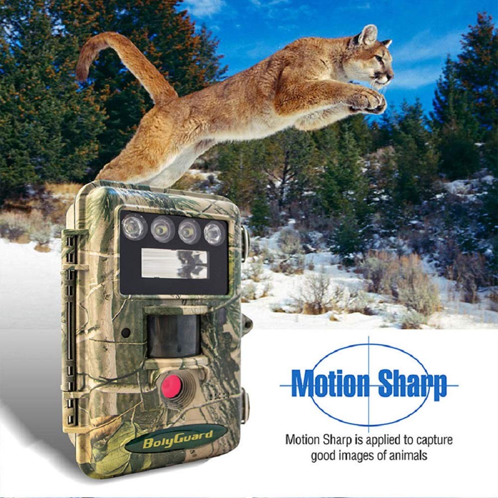 36MP Trail Game Camera with 1080P HD Video & Xenon Flash - Night Vision Hunting Camera for Wildlife Scouting, Motion Detection, Outdoor Security (Perfect for Hunting, Wildlife Monitoring & Home Surveillance)