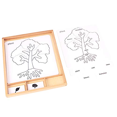Montessori Botany Puzzles for Kids - Science Learning Toys with Plants & Animals Cards, PVC Wood Box - Educational English Games for Children | Perfect for Homeschooling & Preschool STEM Activities