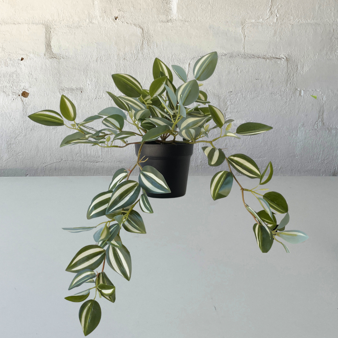 Artificial Wandering Dude White Plant - Low Maintenance Hanging Houseplant for Home & Office Decor - Perfect for Living Rooms, Bedrooms, and Indoor Gardens