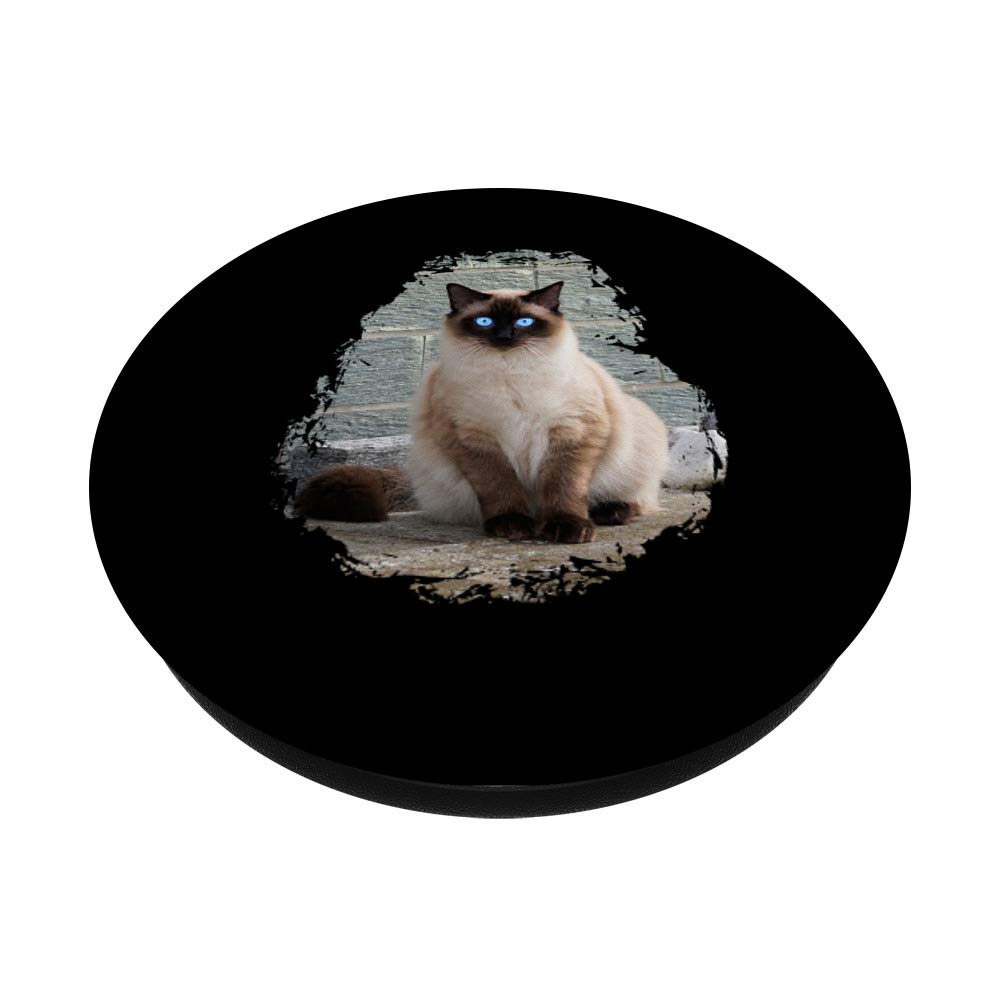Siamese Cat PopSockets Swappable PopGrip - Cute Phone Grip Stand for iPhone & Android - Perfect for Cat Lovers, Phone Drops Protection, Selfie Stick & Car Mount Use