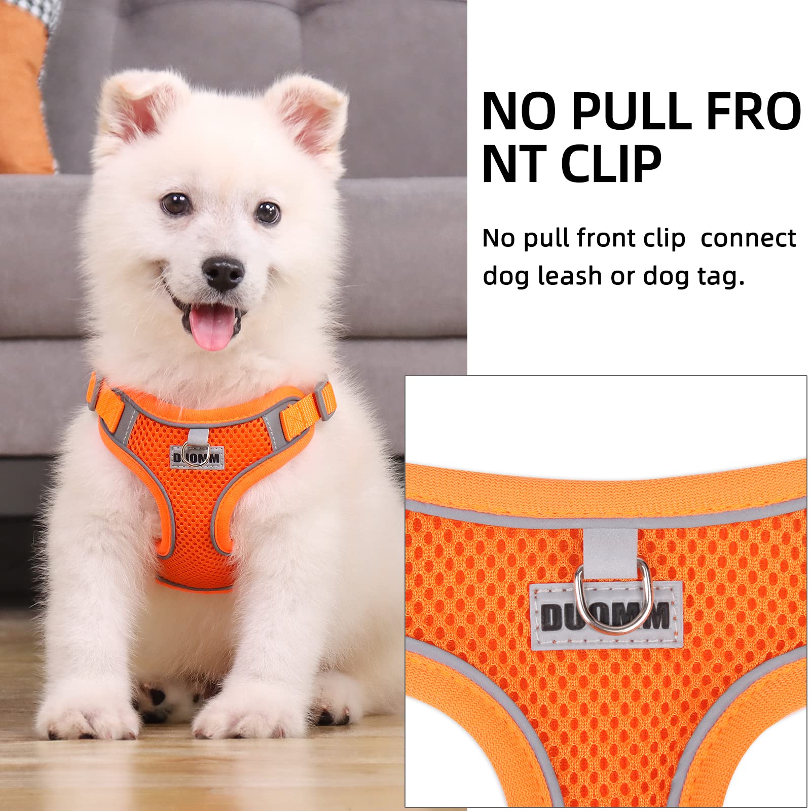 No Pull Dog Harness with 2 Leash Clips - Adjustable Breathable Padded Vest for Small & Medium Dogs - Reflective Safety Harness & Leash Set (Pumpkin, S) - Perfect for Walking, Training & Outdoor Adventures
