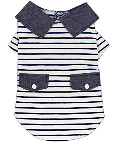 Preppy Boy Polo