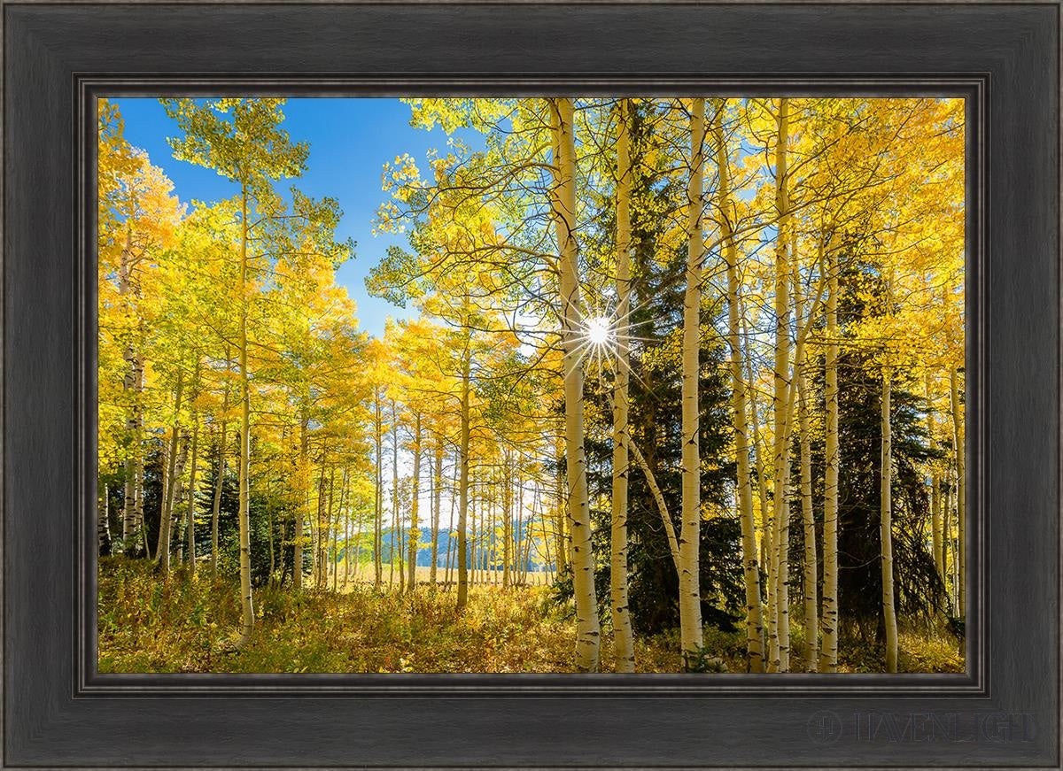 Autumn in the Rocky Mountains - Stunning Fall Foliage at Wasatch National Forest Utah | Perfect for Hiking, Photography & Nature Exploration