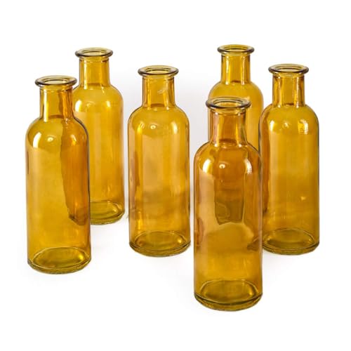 Amber, Large, Set of 48