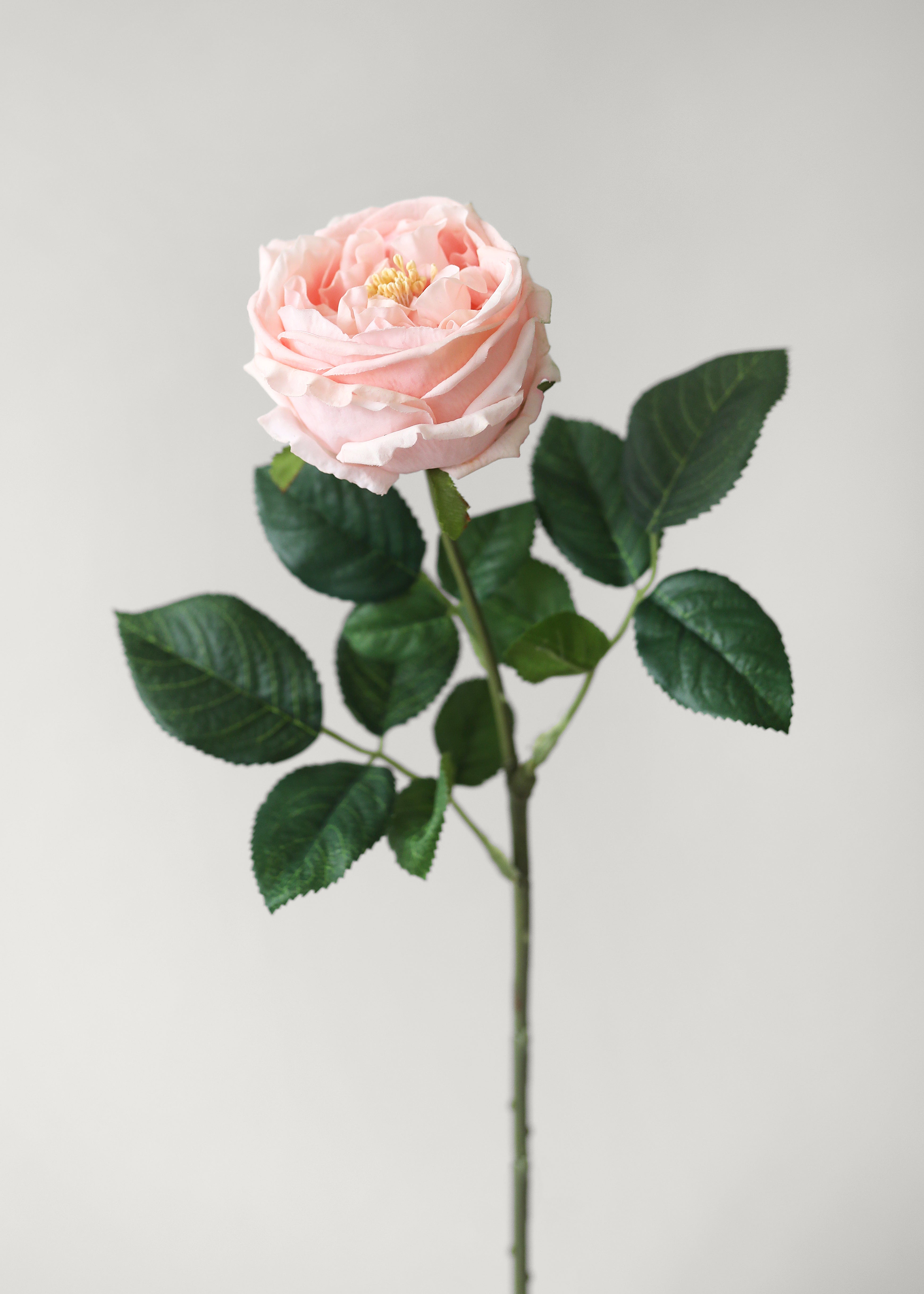 24 Real Touch Artificial Austin Roses in Pink - Lifelike Silk Flowers for Home Decor, Wedding Centerpieces & Party Arrangements