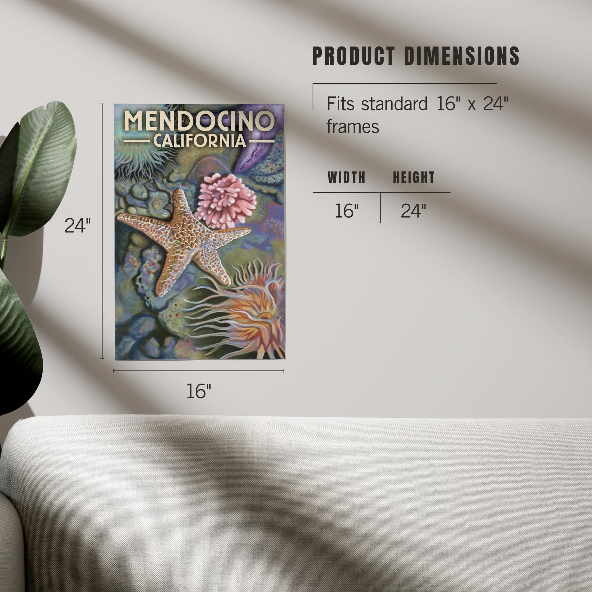 Lantern Press 16x24 Inch Giclee Art Print - Coastal Wall Decor of Mendocino California Tidepool | Perfect for Beach House, Living Room & Office Decor
