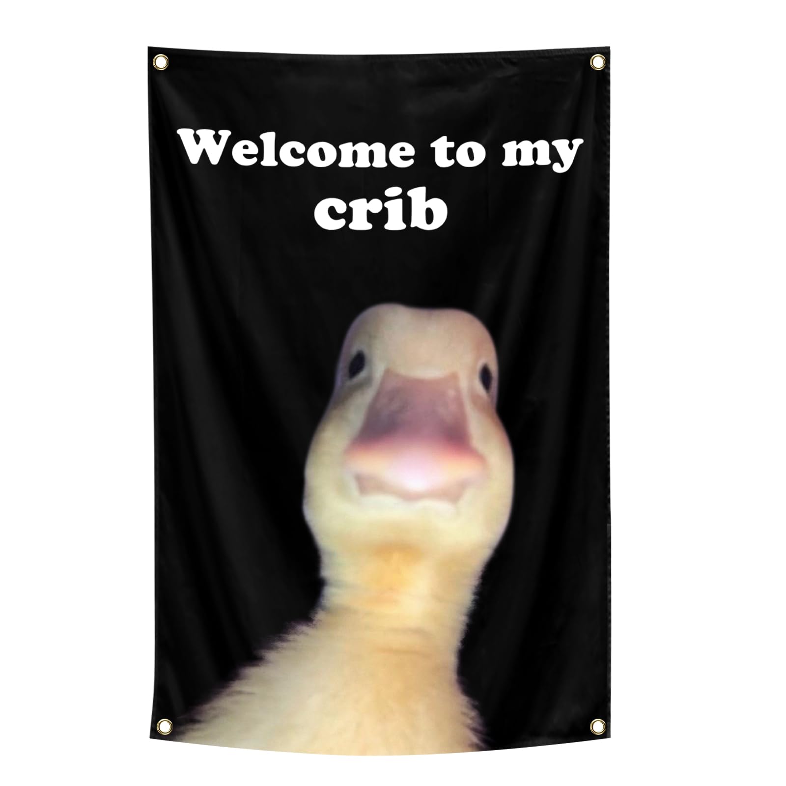 Funny Welcome To My Crib Flag Tapestry 2x3Ft - Indoor Outdoor Wall Hanging Decor for Bedroom, Teens Room, Living Room | Perfect for Dorm, Apartment & Housewarming Gifts